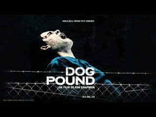 Загон для молодые / dog pound (2010) | hd 1080p