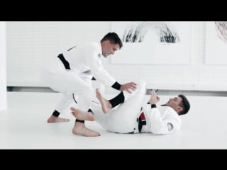 Professor rafael mendes guard passing options using the shin trap