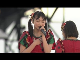 [tv] shiritsu ebisu chuugaku ebichu natsu no family ensoku ryakushite famien in nagaoka 2015 (fujitv next 07/11/2015)