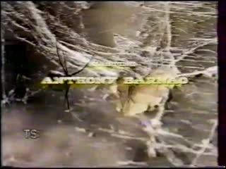 Город призрак ghost town (1988)vhsrip перевод леонид володарский