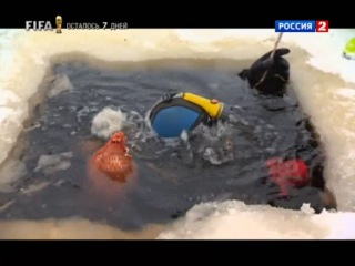 Основной элемент астероиды космические агрессоры (2014)