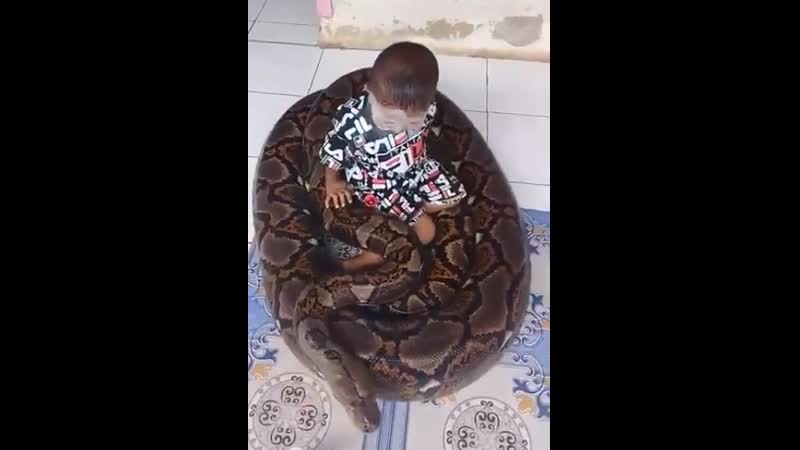 Барсик (vhs video)