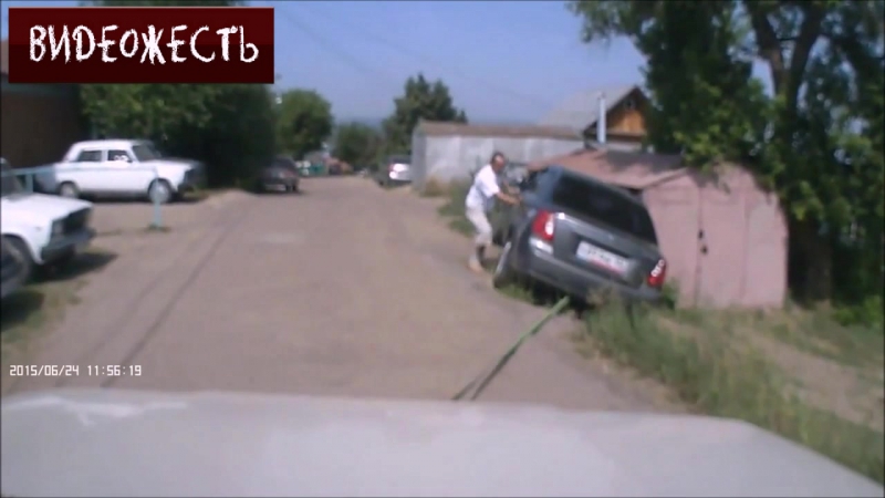 Медвежья услуга © видеожесть