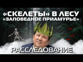 ⭕ аврора⭕инсайд | «скелеты» в лесу | «заповедное приамурье»