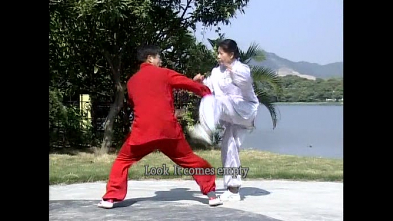 Суньши багуа 8 элементов 64 метода вращающихся ладоней