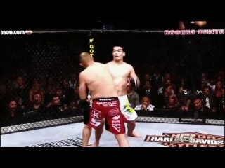 Hl лиото мачида