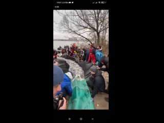 Зарыблевание днепра в гидропарке приятно поучаствовать в этом мероприятии