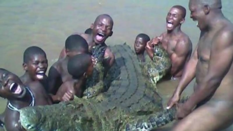 Братья погибли при попытке молодые крокодила