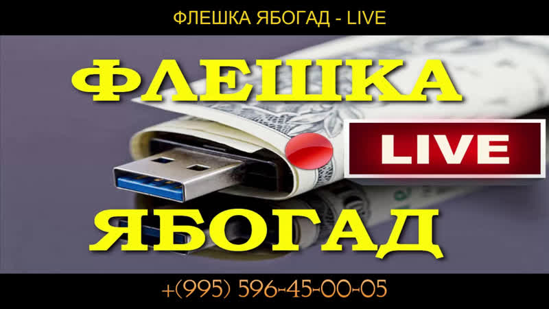 Live прямой эфир новый курс александра абесламидзе сандро ябогат new флешка ябогат