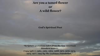 Are you a tamed flower or a wild flower? (revised)