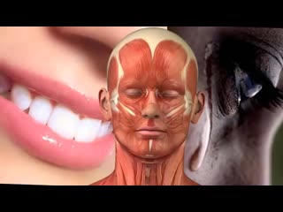 Топ 5 необычных фактов о влагалище mp4