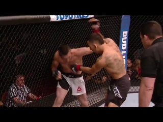 Халоуэй ламас hl