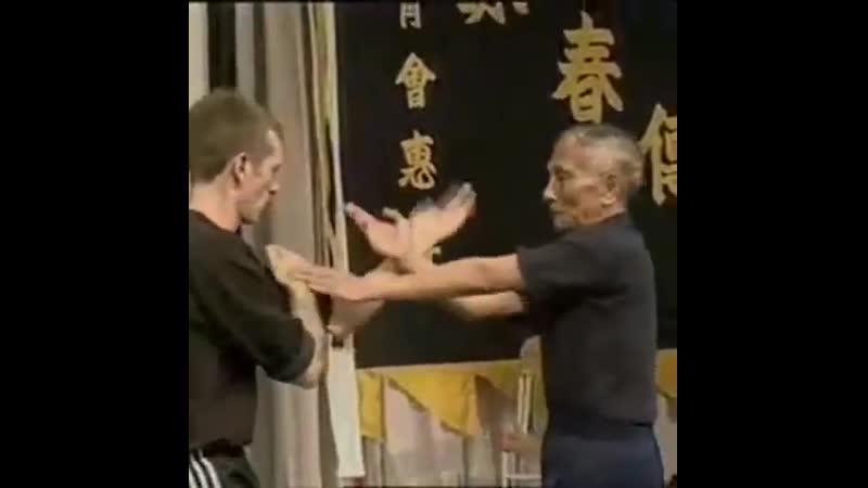 Grandmaster yip chun some amazing chi sao