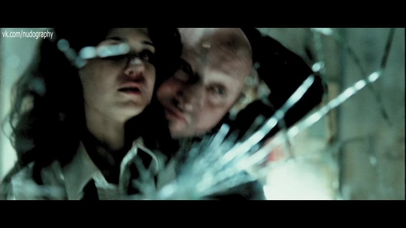 Маған мысықтың фотосын көрсет