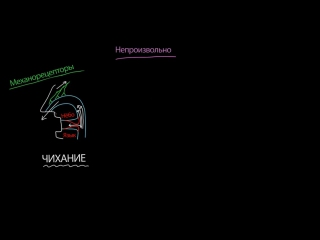 Чихание, кашель и икота