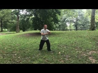 Dong style taijiquan simplified form first section and advanced form second s