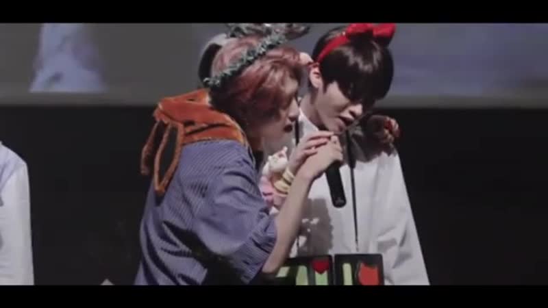 Lee minho x han jisung | minsung