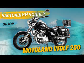 Обзор на настоящий чоппер motoland wolf 250 от x motors