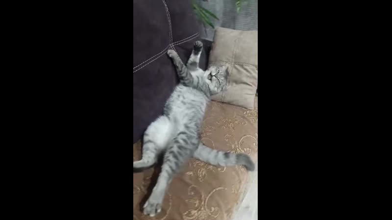 Оставь меня в покое (vhs video)