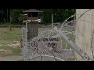 [looper россия] рейтинг общин “ходячих мертвецов” от худших к лучшим