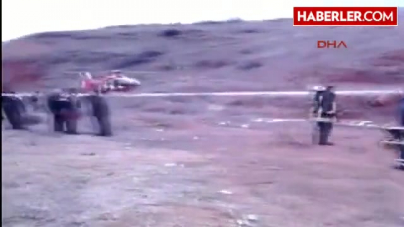 "адский конвейер" перемалывает миллионы цыплят (видео 18+)