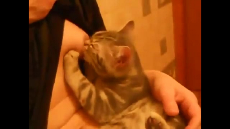 Утренняя кормежка