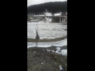 Vid 20200418 120335 mp4