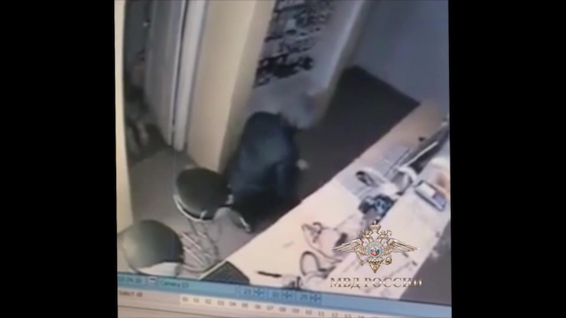 Грабители связали продавщицу и украли телефонов на пол миллиона рублей