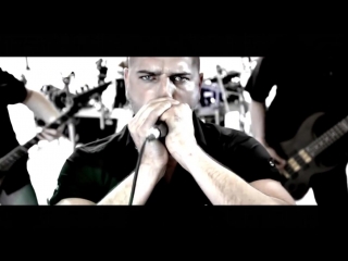 Davidian fake society