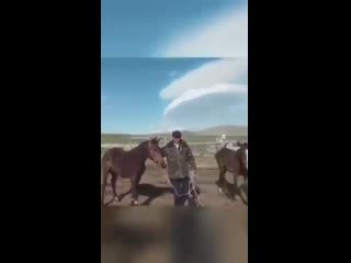 Видео от самат гульмиры