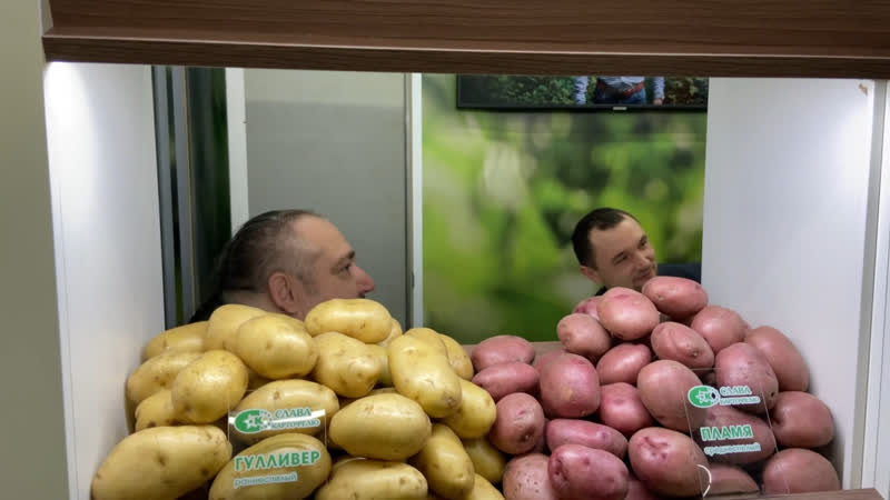 Xv межрегиональная отраслевая выстаа «картофель 2023»
