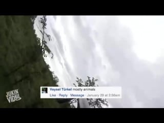 Fan made from the jukinvideo vault jukinvideo