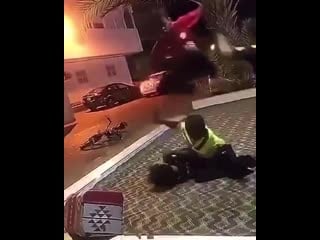 Dillon danis instagram