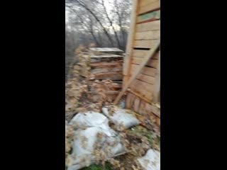 Vid 20201027 175145 mp4