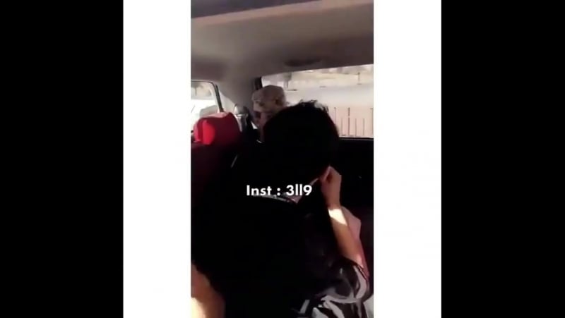 🤚🏼😹 تكزب ء علـقو(") 🎈 ء لايك ع المقطع اللي ق лондон