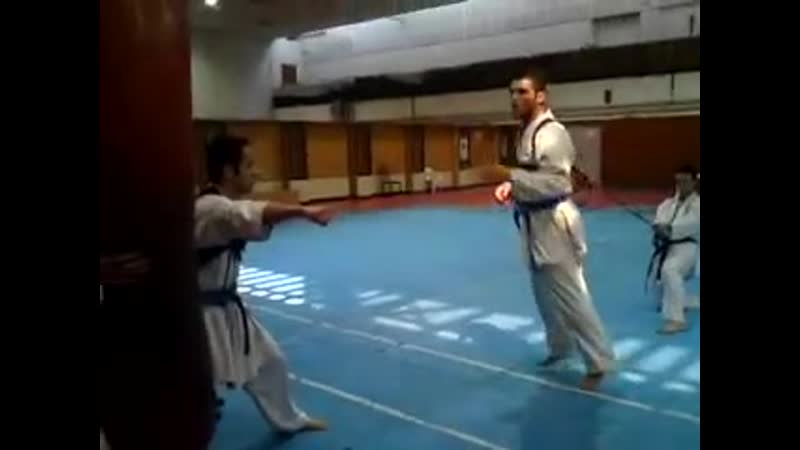 Karate porn video – Wkf karate iranian training