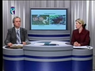 Биология урок 4 ядовитые грибы россии часть 2