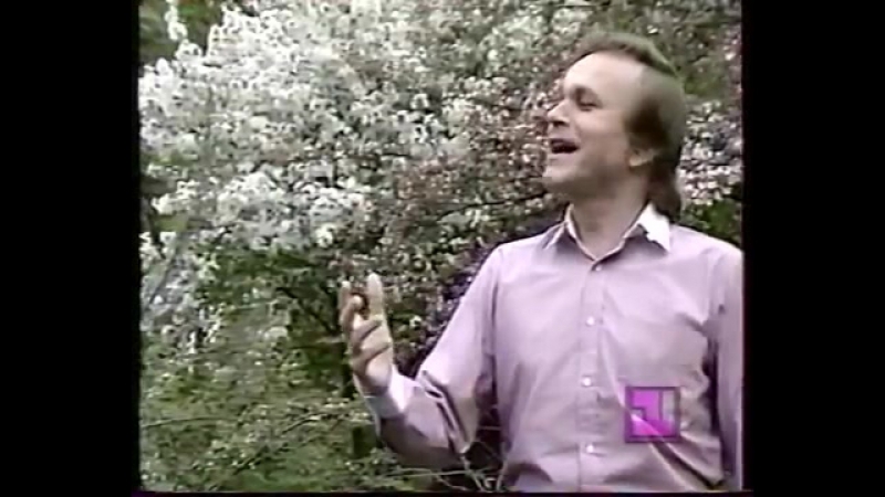 Евгений мартынов яблони в цвету