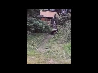 Музыкальное сопровождение пьяной девушки))