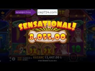 Casino sarayi dog hause big win ! rekor kazanç ! casi̇no oyunlari