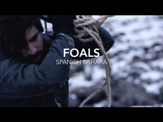 Foals spanish sahara