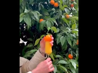 Sochi day 20200217 14 mp4