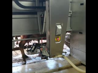 В голландской деревушке