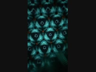 190128 ig stories update (kiff vinxen)