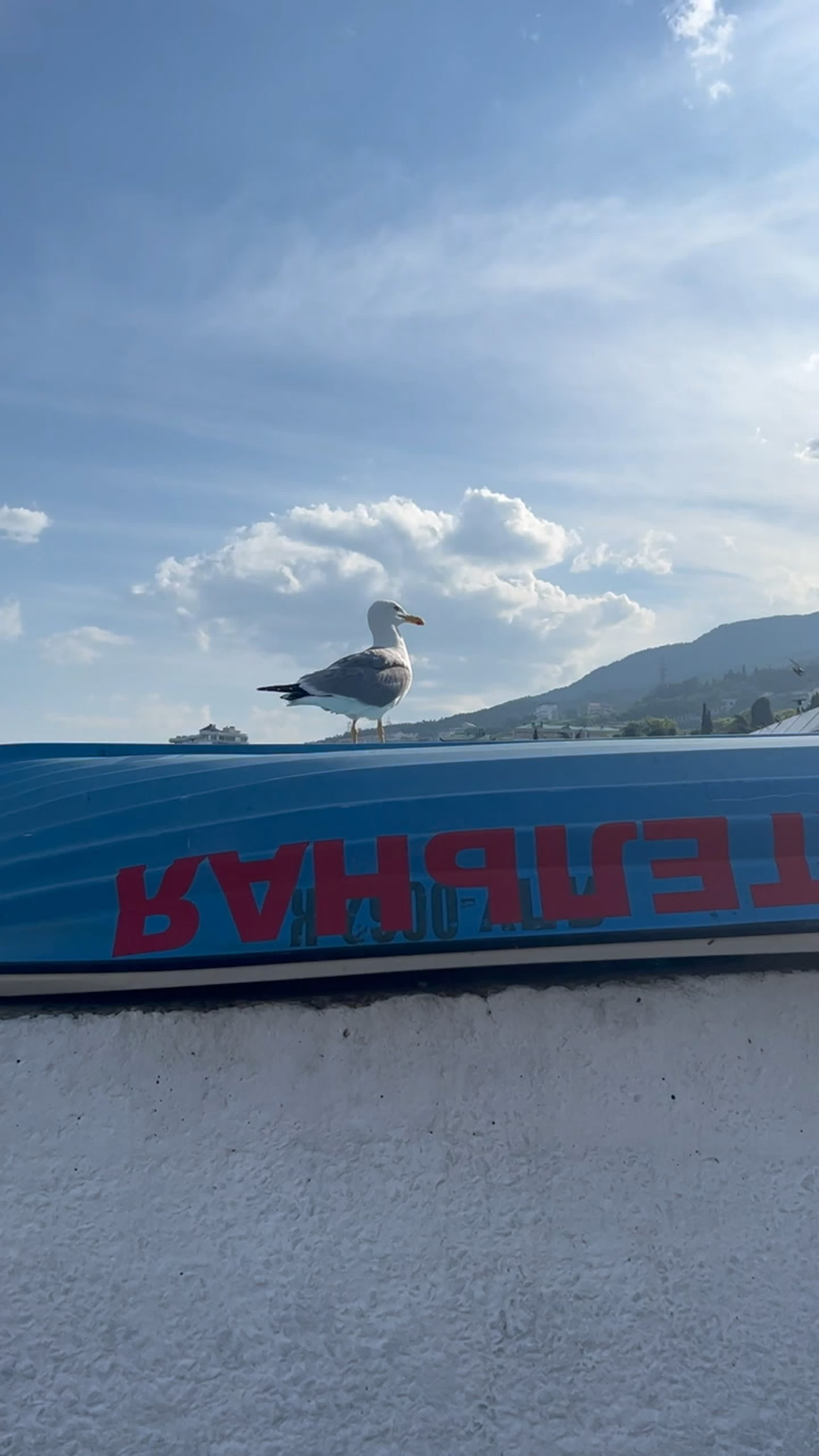 Видео от отдых в крыму,пгт гурзуф гостевой дом dolce vita