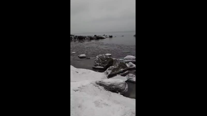 Я несла свою