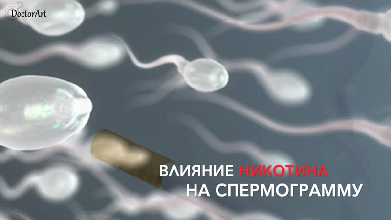 Влияние никотина на спермограмму