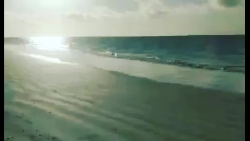 Утренняя прогулка, момбаса, кения,