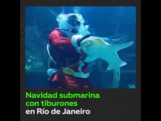 Papá y mamá noel bucean con tiburones en un acuario de brasil