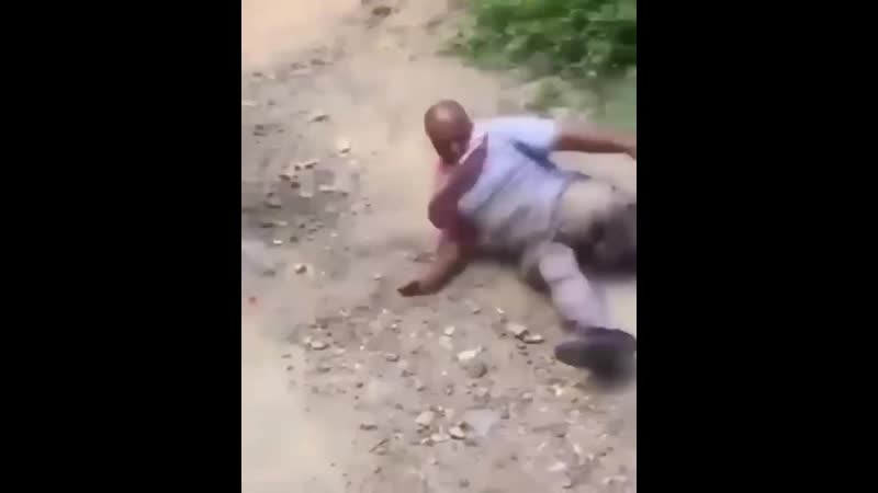 Задняя скорость